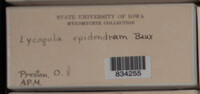 Image Associated With the Occurence